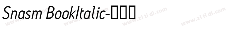 Snasm BookItalic字体转换